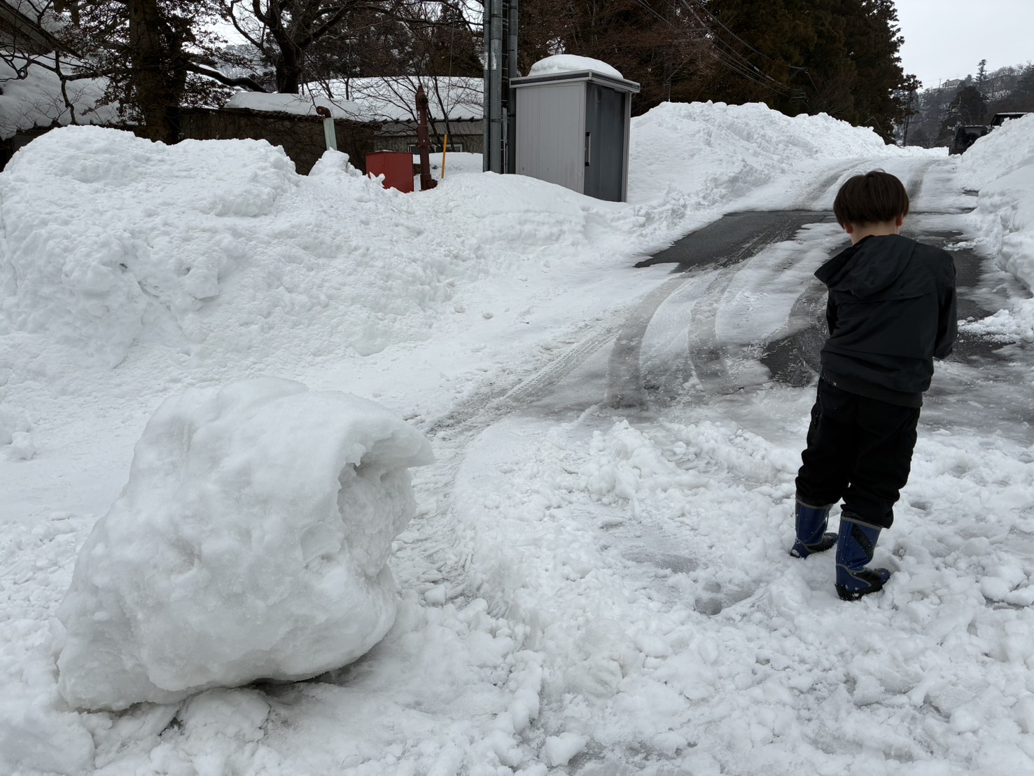 雪が積もりましたね〜！